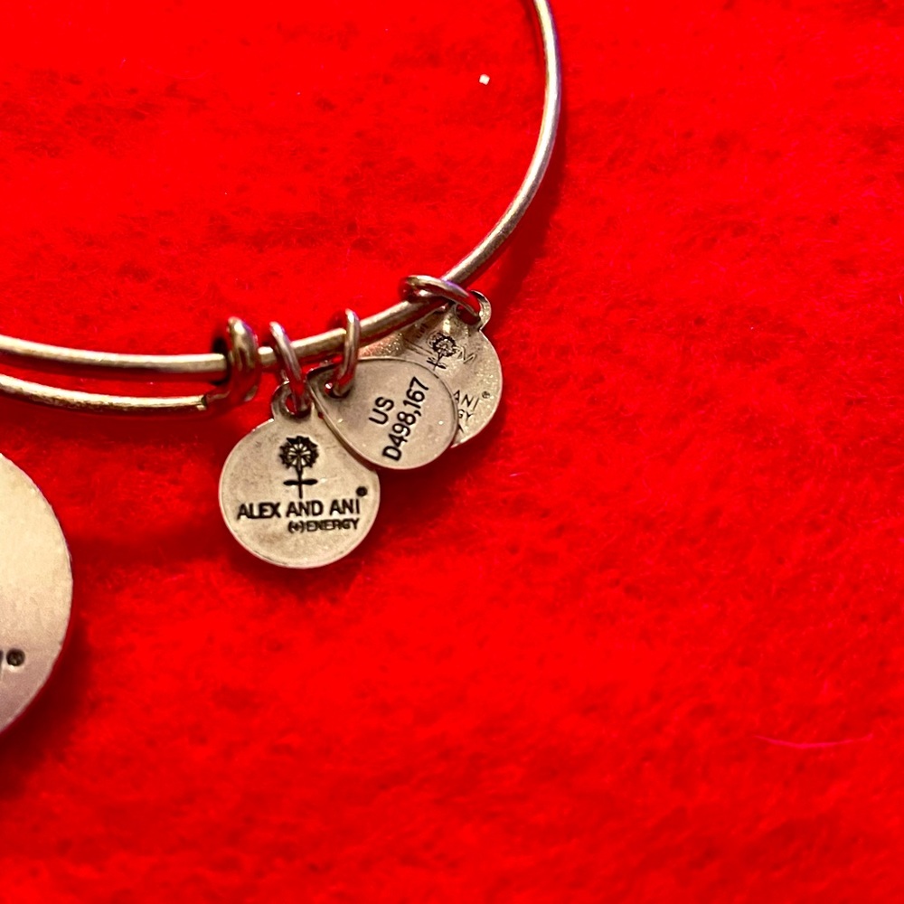 Alex and Ani Completely Blessed bangle bracelet - Picture 5 of 5